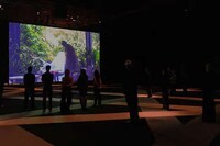Collaborative VR Art Experiences Image 4