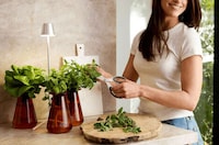 Design-Forward Countertop Herb Vases Image 1
