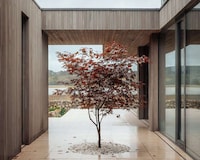 Sleek Contemporary Elevated Retreats Image 2