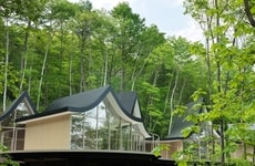 Intertwined Forest-Nestled Cottages