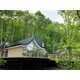 Intertwined Forest-Nestled Cottages Image 1