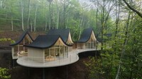 Intertwined Forest-Nestled Cottages Image 2