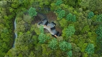 Intertwined Forest-Nestled Cottages Image 4