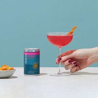 Shakeable Canned Martinis Image 3