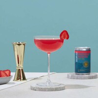 Shakeable Canned Martinis Image 4