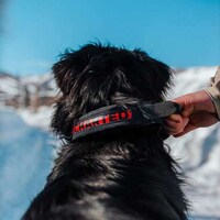 First-Aid Dog Collars Image 4