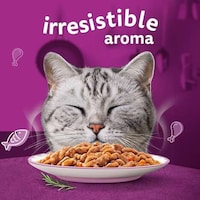 Extra-Fragrant Cat Foods
