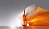 Vivacious Coral-Colored Champagnes