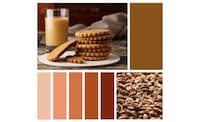 Inspiring Food Color Reports