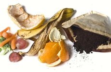 Food Waste Recycling Programs Article Thumbnail