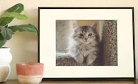 Chromatic E-Ink Picture Frames Image 3