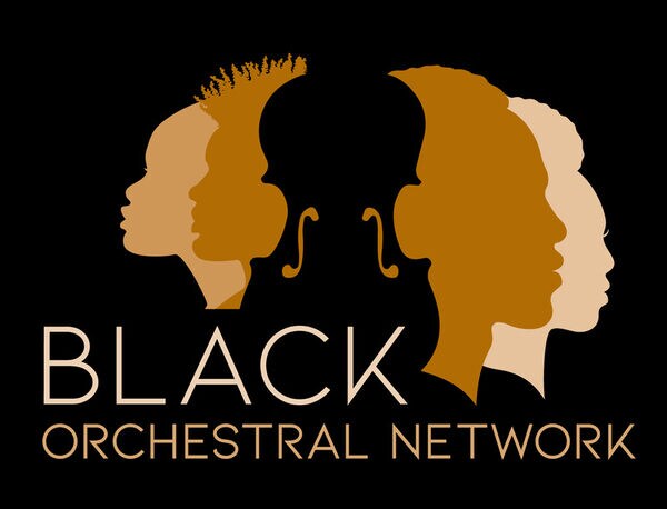 Symphony Orchestras-Focused Equity Initiatives