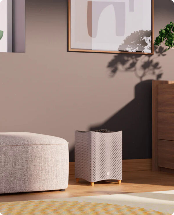 Performance-Driven Air Purifies