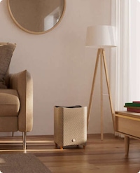Performance-Driven Air Purifies Image 2