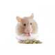 Small Pet Dietary Resources Image 1