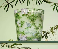 Wellness Fragrance Candles Image 1