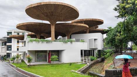 Bamboo Parasol Community Canopies