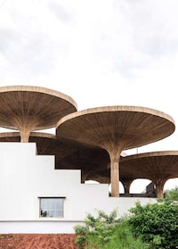Bamboo Parasol Community Canopies Image 3