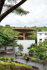 Bamboo Parasol Community Canopies Image 4