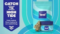 Coastal-Inspired Cannabis Brands Image 1