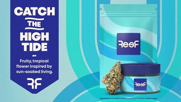 Coastal-Inspired Cannabis Brands