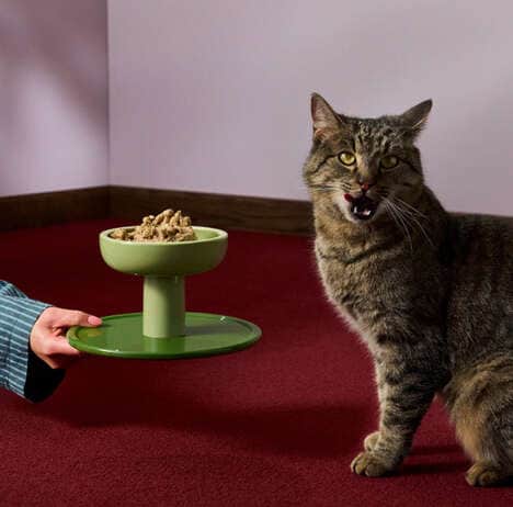 Designer Pet Bowls