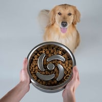 Design-Conscious Pet Bowls Image 2