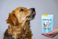 Lab-Grown Pet Food