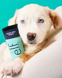 Cosmetics-Themed Dog Toys Image 1