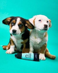 Cosmetics-Themed Dog Toys Image 2