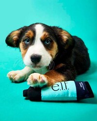 Cosmetics-Themed Dog Toys Image 4