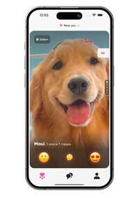 Dog Matchmaker Platforms