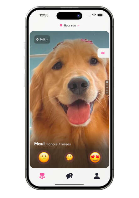 Dog Matchmaker Platforms