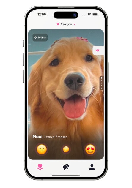 Dog Matchmaker Platforms