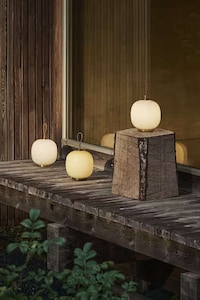 Elevated Modern Portable Lamps
