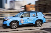 Pet-Themed Branding Initatives Image 2