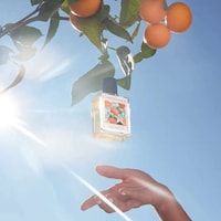 Lasting Citrus Fragrances Image 4