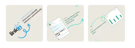 Career Platform Follower Growth