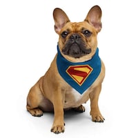 Superhero-Inspired Pet Capsules Image 2