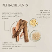 Cleansing Scalp Treatments Image 5