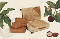 Series-Inspired Luggage Collabs Image 1