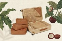 Series-Inspired Luggage Collabs