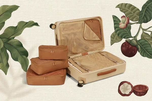 Series-Inspired Luggage Collabs