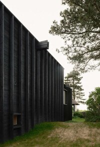 Introspective Charred Pine Extension Image 2