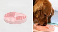 Compartment-Based Pet Feeding Trays Image 2