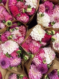 Valentine's Day Transit Activations Image 1