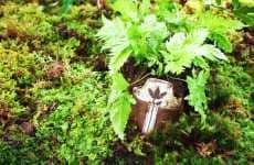 Shoe Plantvertising