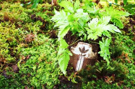 Shoe Plantvertising