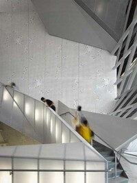 Exercise Elevators Image 4