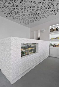Snowflake Ceilings Image 4